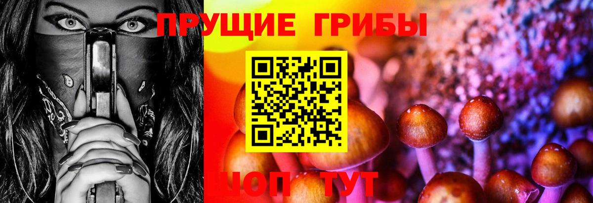 Псилоцибиновые грибы MAGIC MUSHROOMS  Вход с VPN  Воронеж 