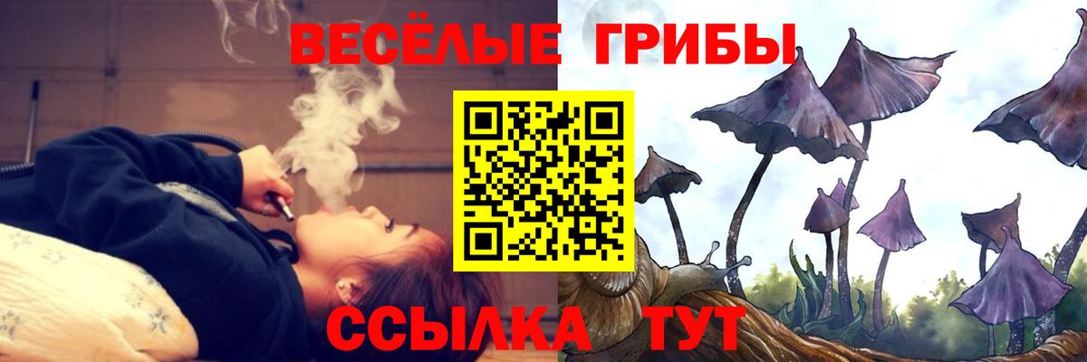 Псилоцибиновые грибы GOLDEN TEACHER Воронеж